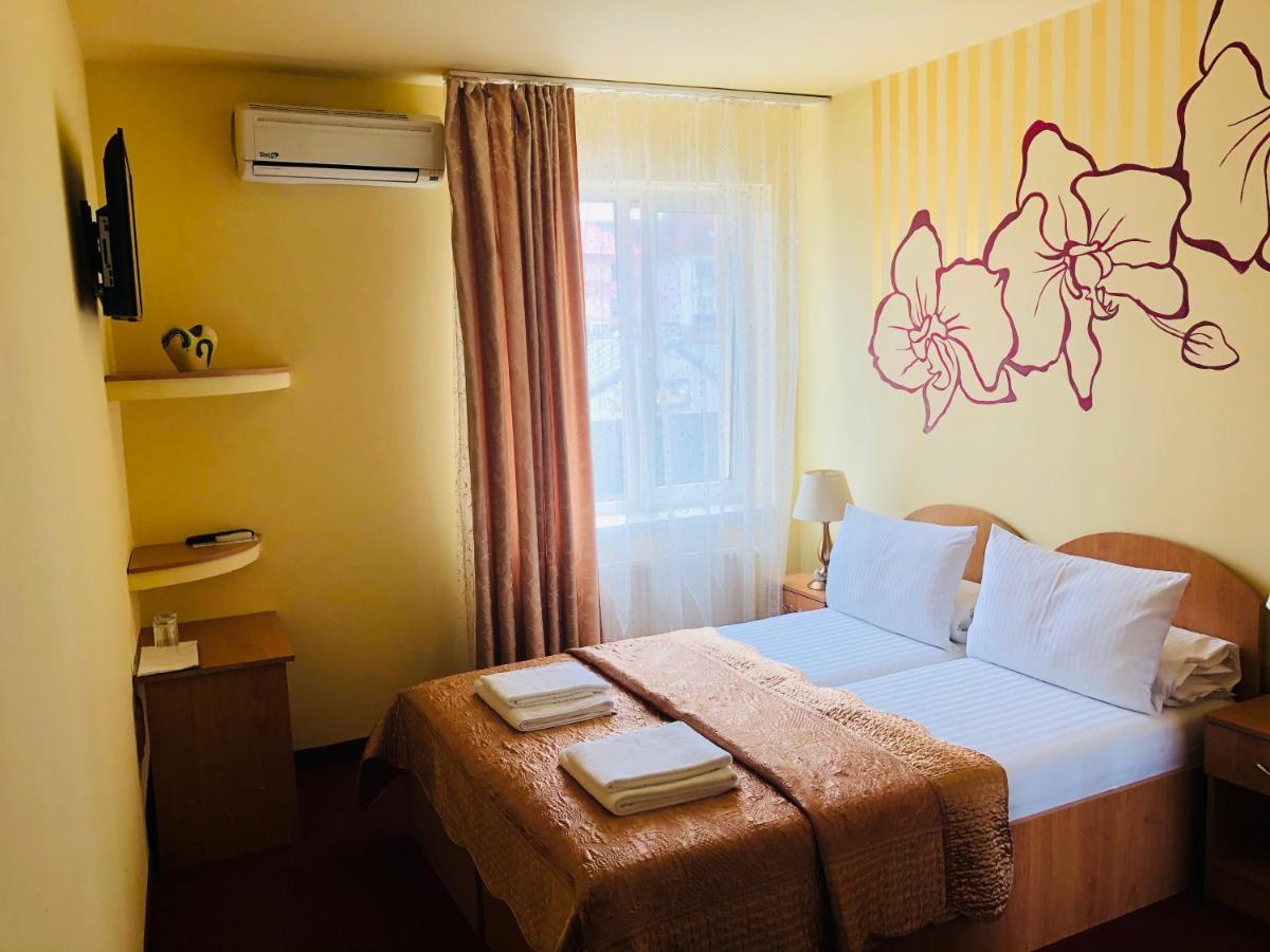 Pensiunea Ileana Guest house Sibiu