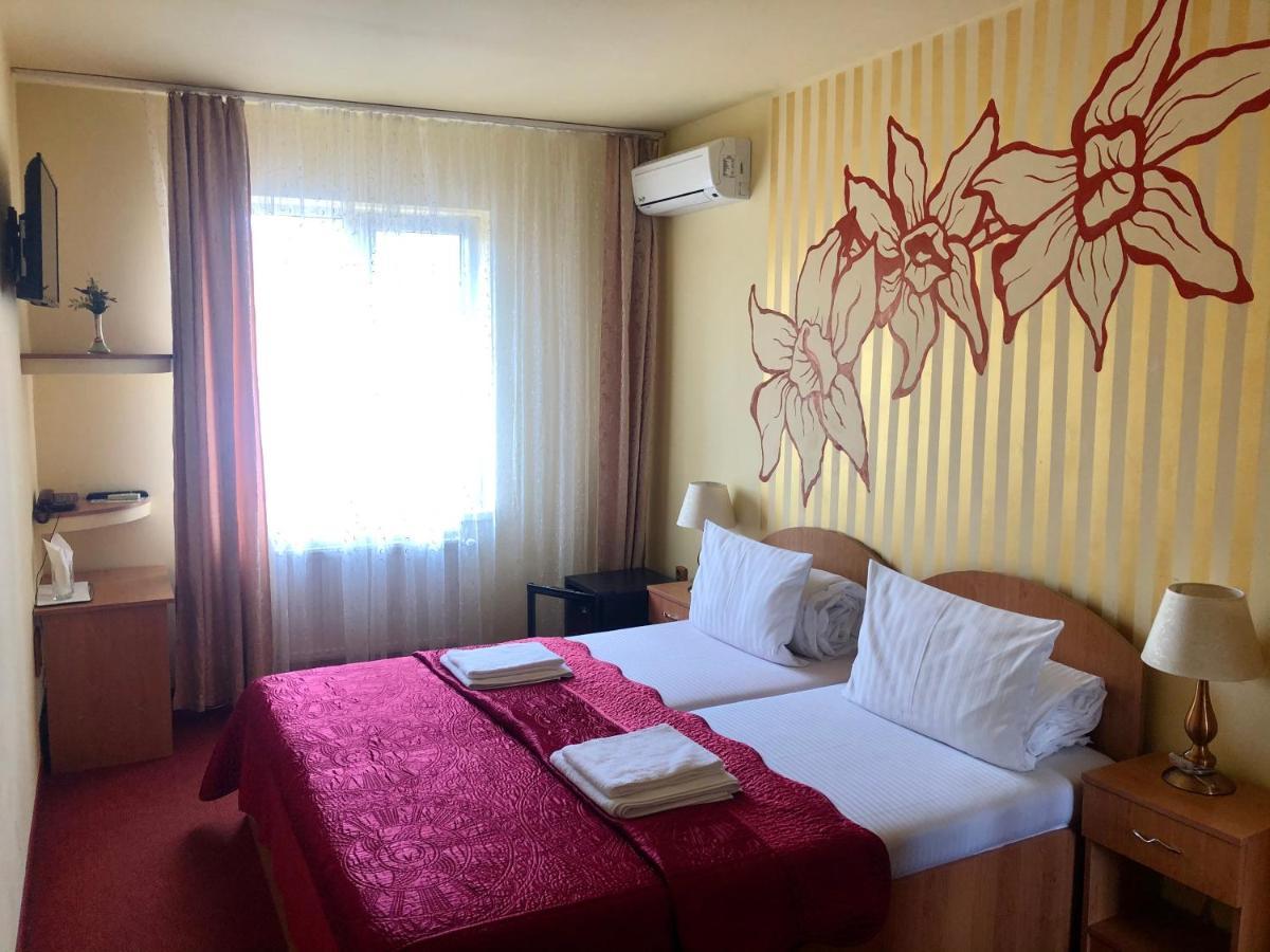 Pensiunea Ileana Guest house 2*